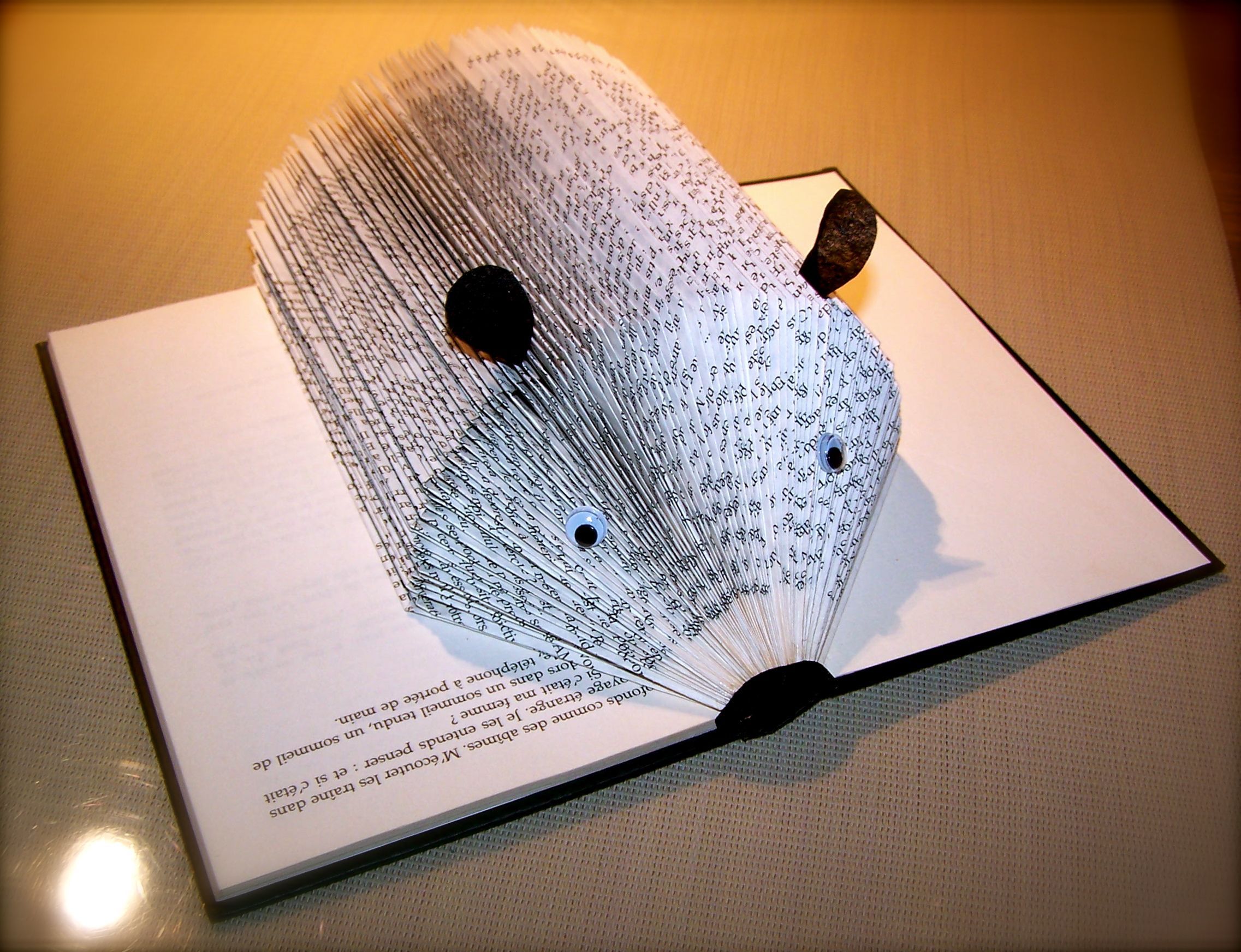Livre Herisson